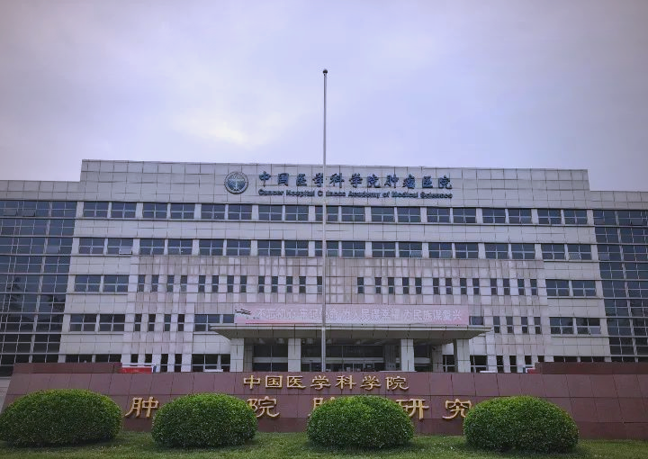 中国医学科学院肿瘤医院、价格亲民,性价比高黄牛代挂号的简单介绍