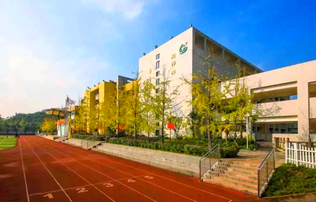 重庆树人小学及关联学校的教育特色与发展概述