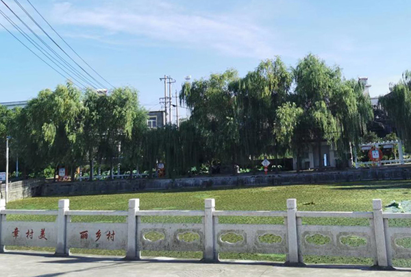 东至县胜利镇:"积分制"激活人居环境"一池春水"