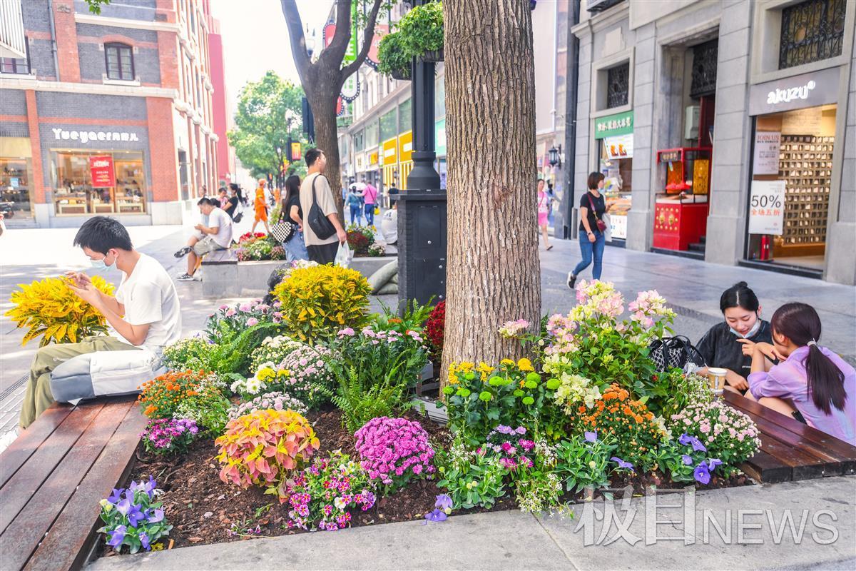 武汉首条"花漾街区"江汉路,色彩斑斓喜迎国庆