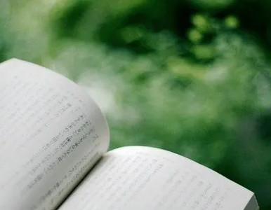 《备胎新娘》(陈津周芸芸)txt小说全文免费