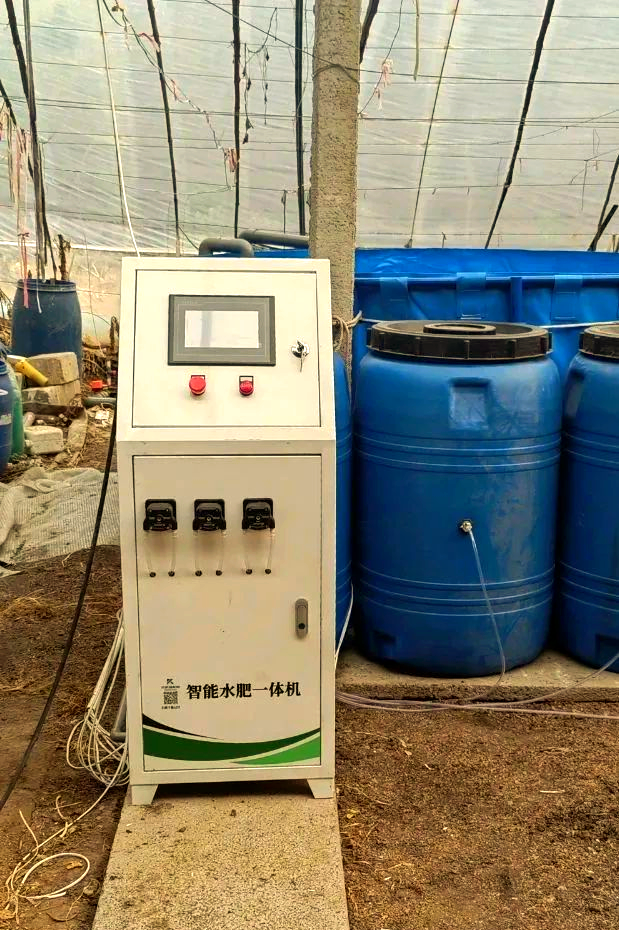 营养液式智能水肥一体机:种植草莓,番茄等农作物的得力助手