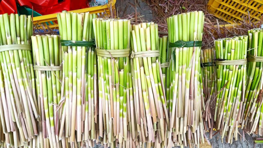 广宁县第二届南街星平文笋节,你不能不逛的集市