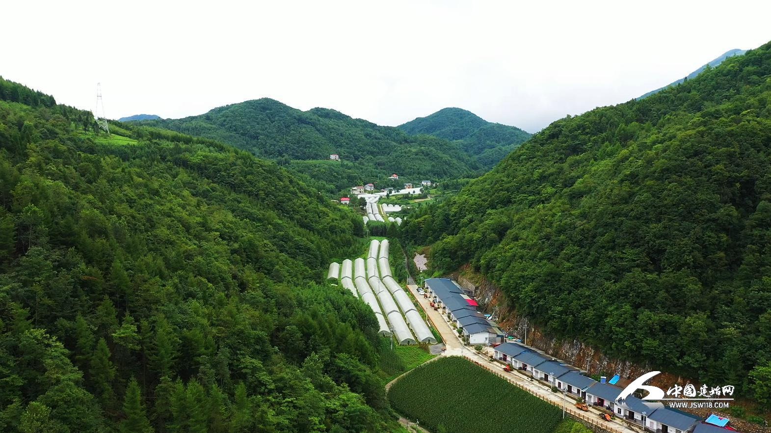 「乡村振兴」建始龙坪乡:黄金淌里藏"黄金"