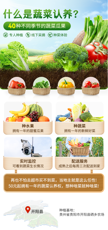 时令蔬菜配送：让餐桌上的‘鲜’不再遥远