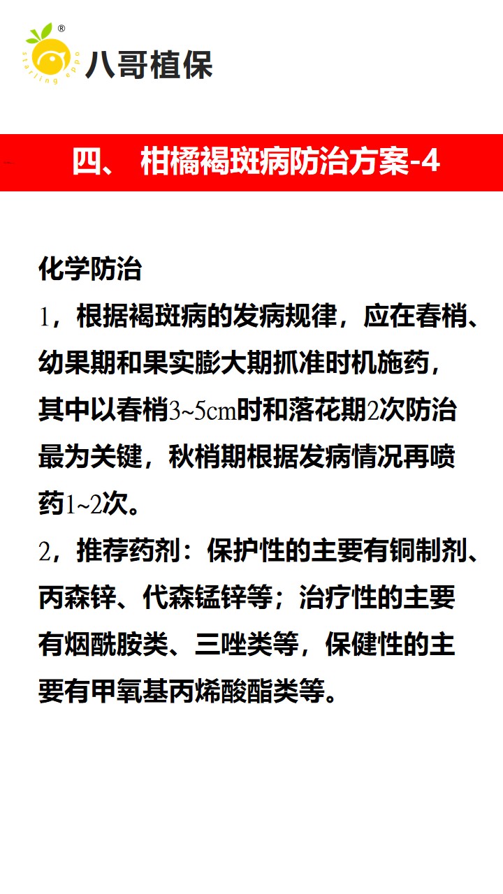 柑橘褐斑病防治技术指南(柑橘褐斑病的防治)