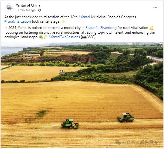 海外社交媒体上的"烟台声音"(1月15日—1月21日)