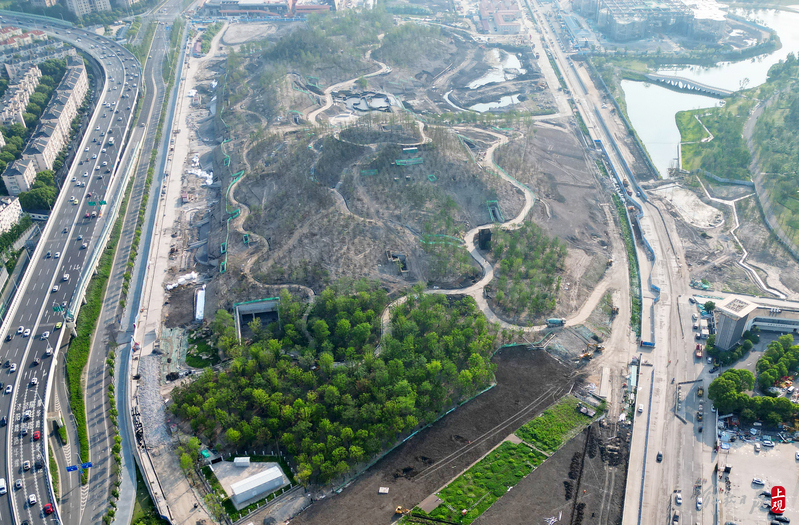 "堆山理水"造景,世博文化公园双子山披绿超六成