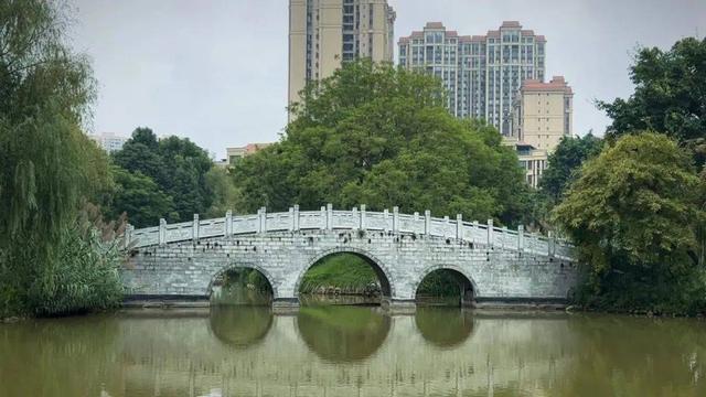 苏园文化考察眉山行:(一)苏辙公园——照水菡萏细细香