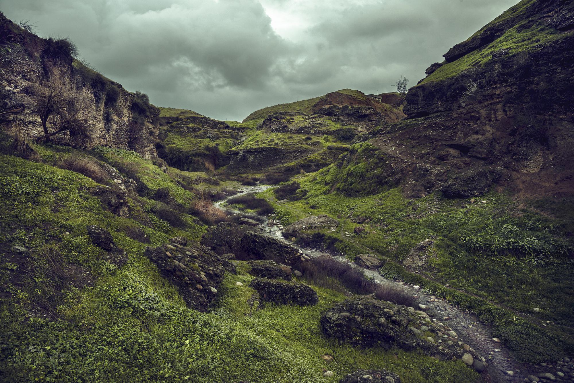 壁纸|高清手机壁纸586