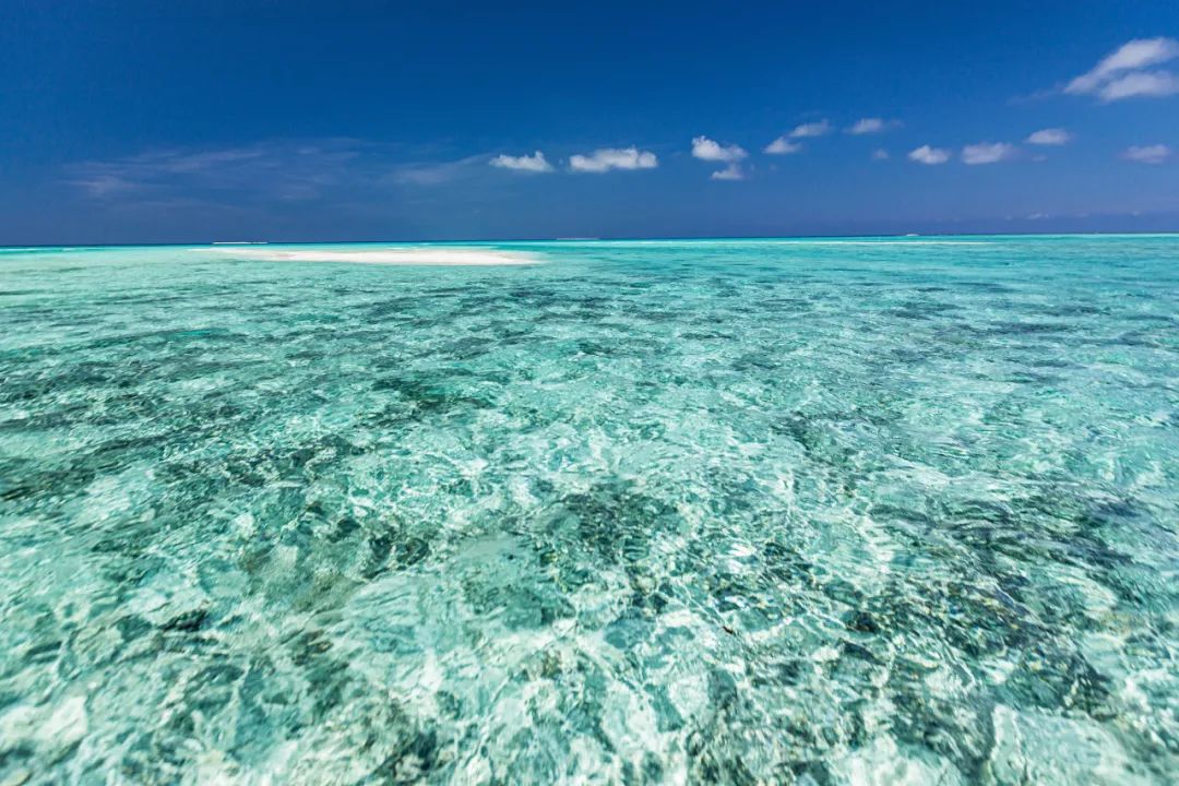 作为三个岛屿中唯一的无人岛,全富岛始终保留着尚未被开发的原始和