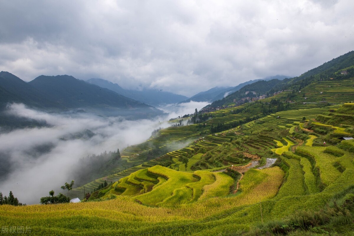 贵州从江云裳梯田"丰"景如画