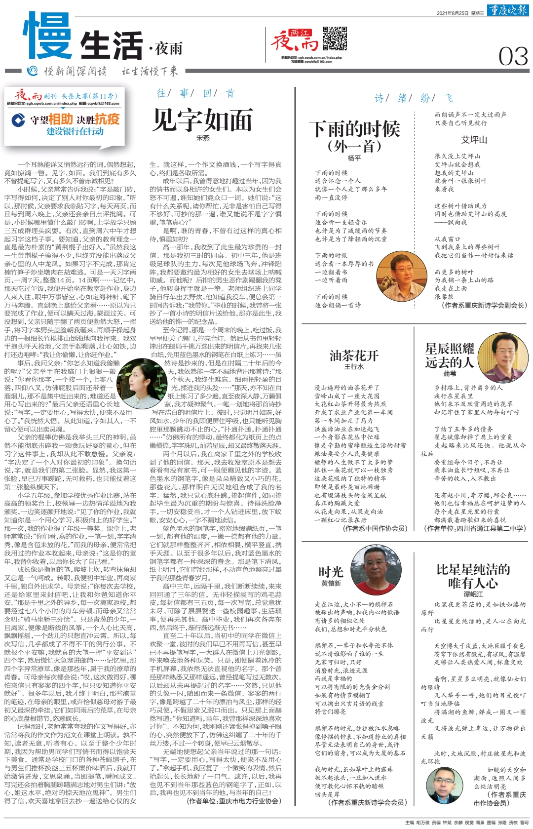 上游夜雨丨王行水:油茶花开