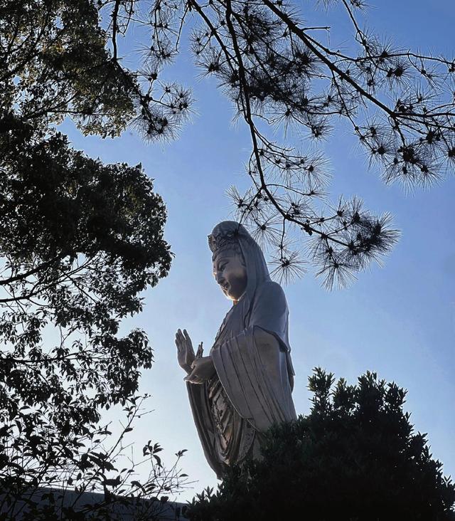 普陀山大乘庵水月观音图片