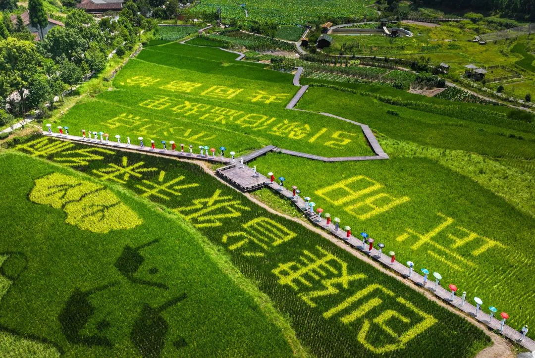 走进文成未来乡村 (二) | "隐居武阳",深化"政企村户" ,共建共享乡村
