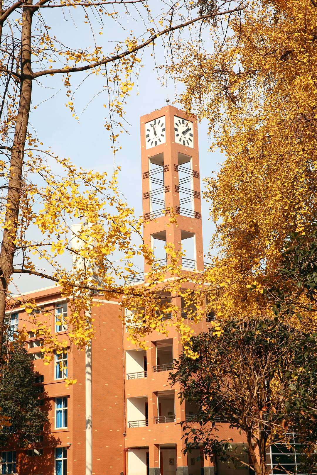 校长来了丨专访成都八中校长王宇:传统与未来融合 办新时期适合学生