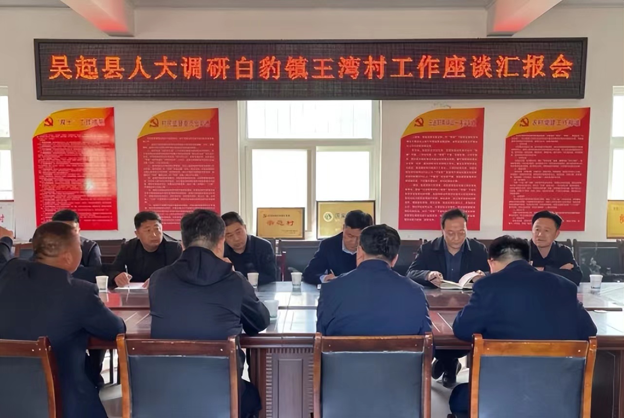 吴起县人大常委会主任王晓春一行到白豹镇王湾村调研乡村振兴工作