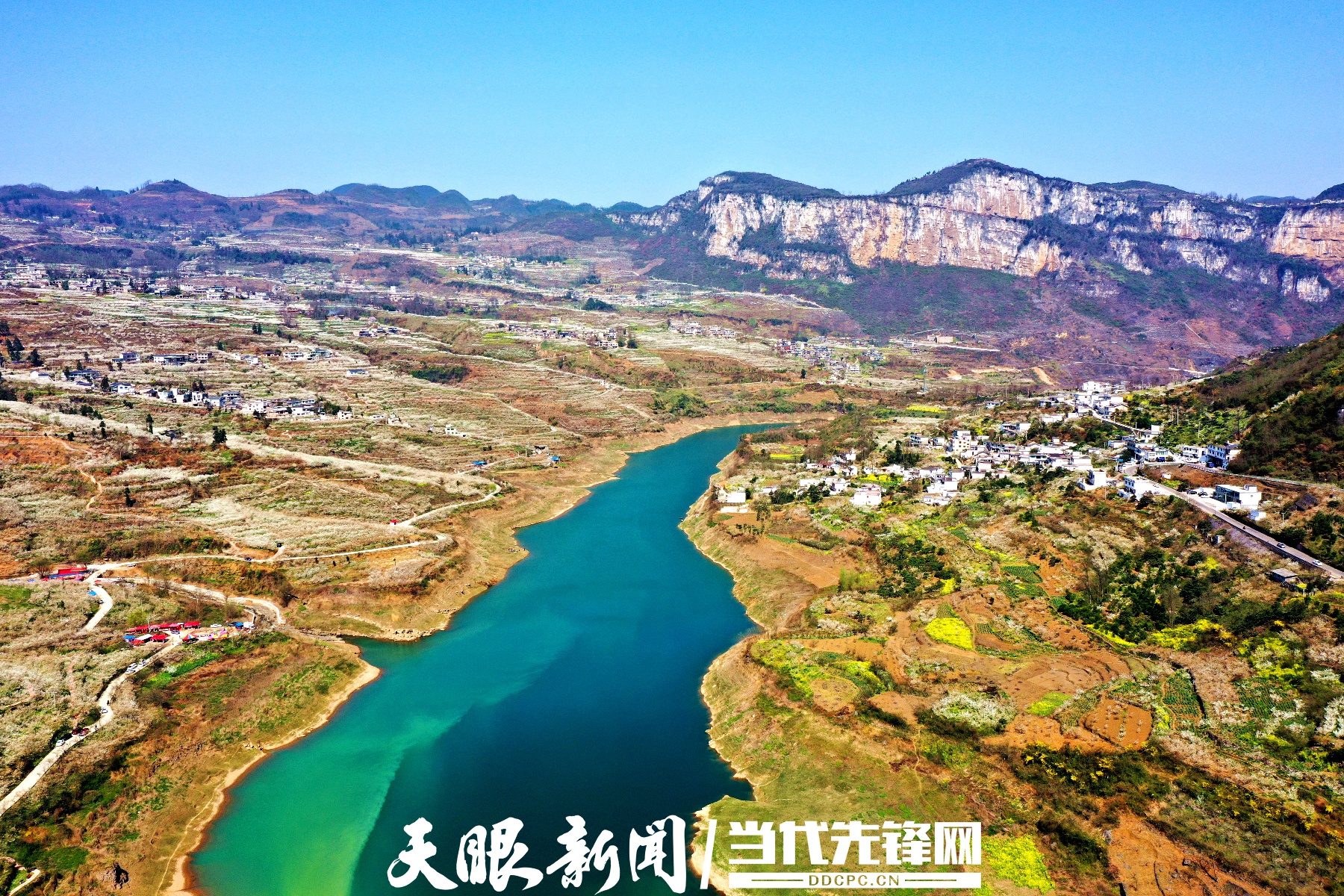 织金县马场镇:一朵花,带来幸福的春天