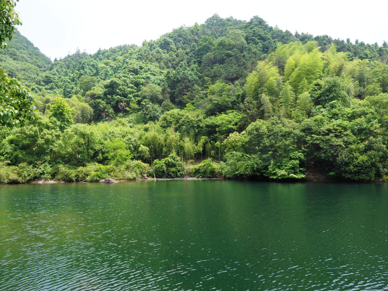 杭州小众景点—临安篇之西径山