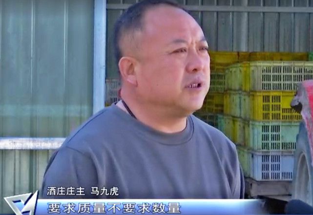 陕西"煤老板"豪掷6个亿,开荒种葡萄,15年后现状如何?