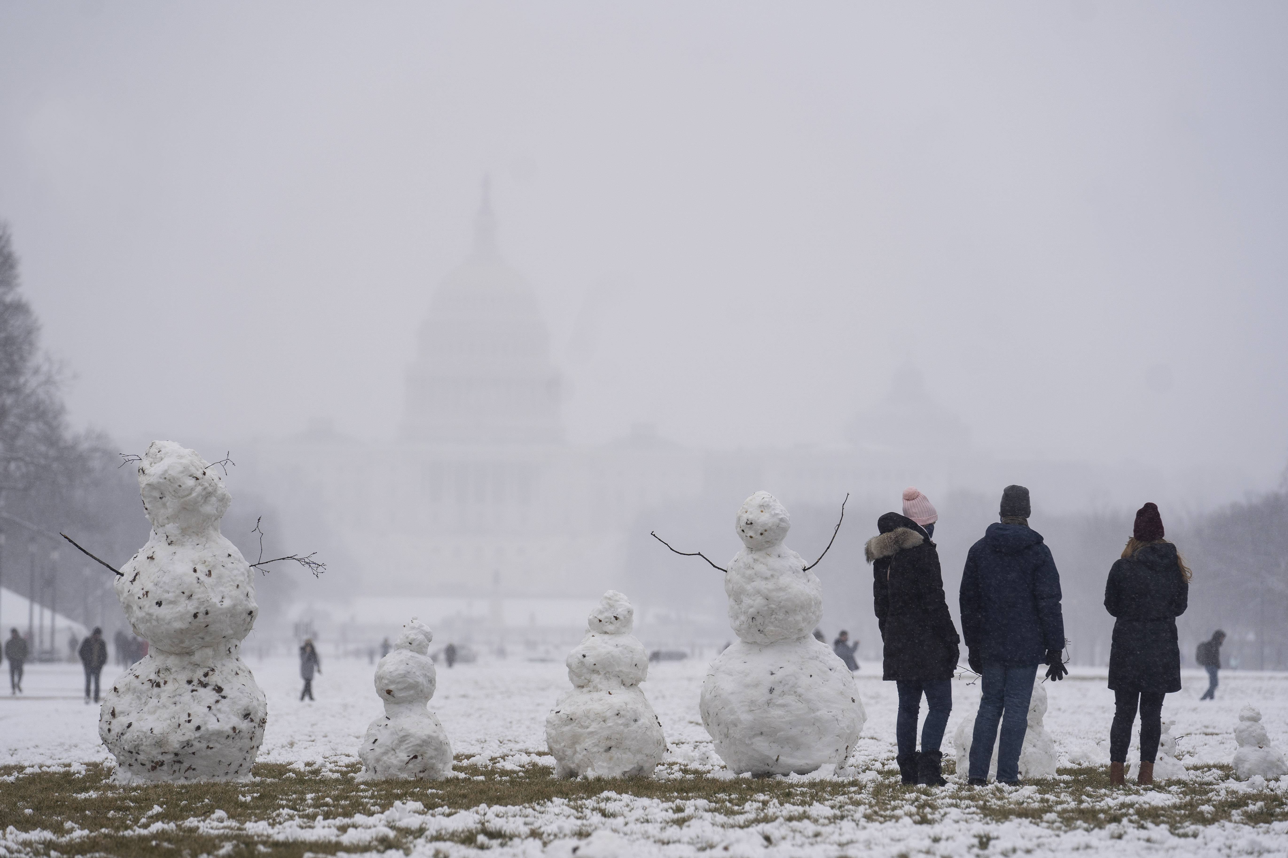 下雪啦!美国首都华盛顿迎来大雪