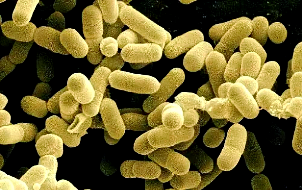 警惕冰箱中的"隐形杀手"