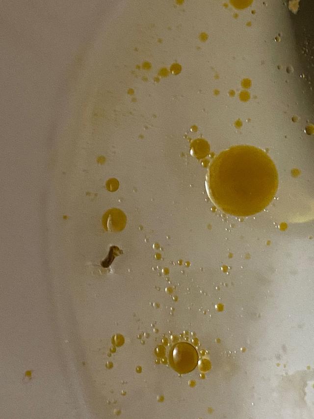 人吃油鱼后屁股流油3天?油鱼到底什么来头,被禁止后还有人吃?