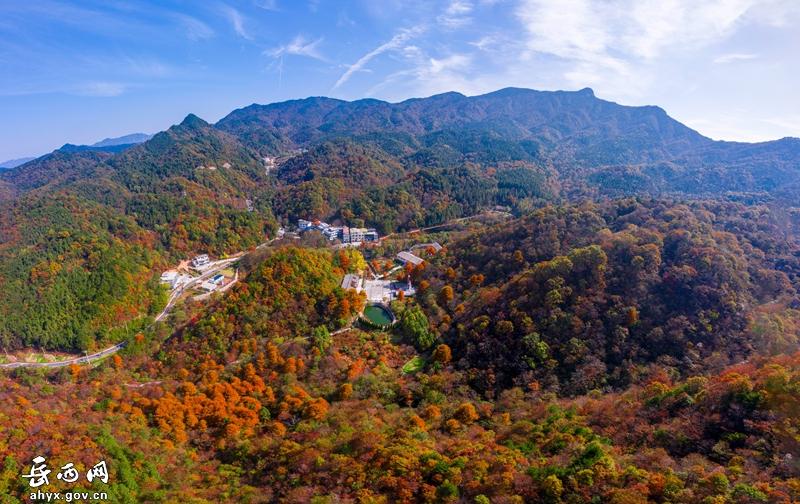 "岳西红",大别山迎来绝美秋景