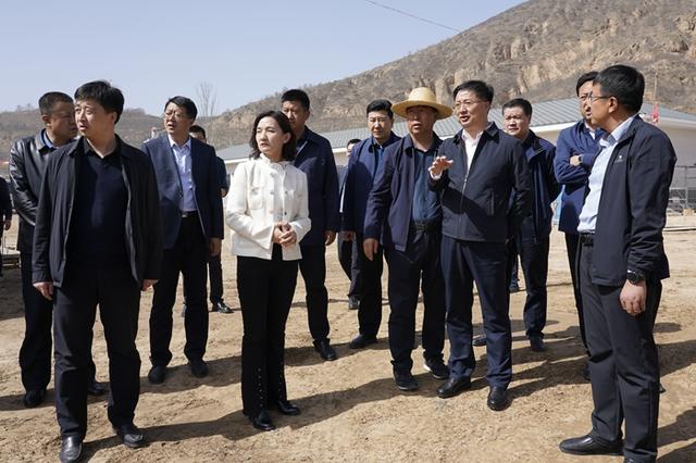 何鹏峰王蕾带队调研静宁县重点产业链建设工作