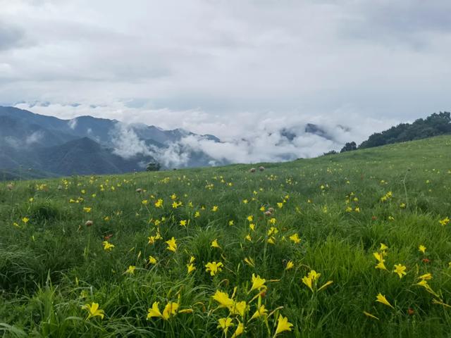 沙城老窖杯"第五届怀来黄龙山庄登山节暨中国旅游日活动黄龙山庄为