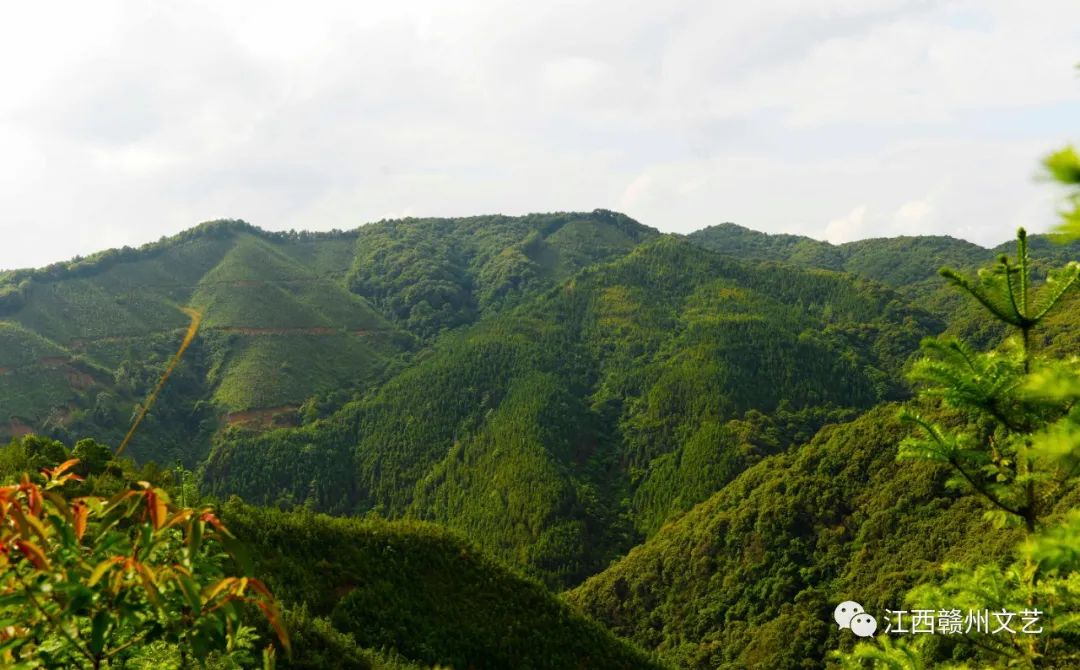 安远县文化馆组织的摄影采风走进蔡坊乡
