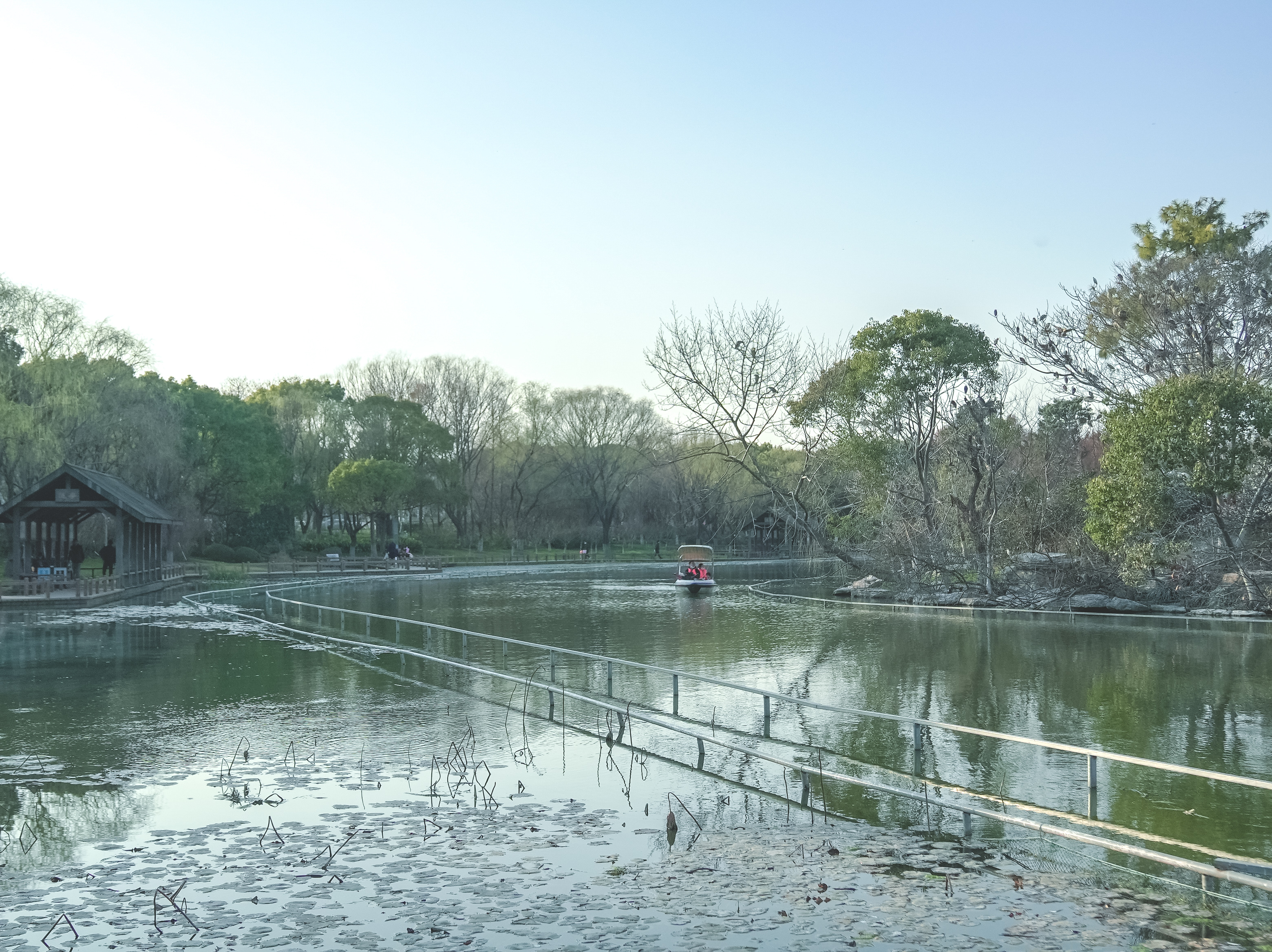 闵行花海公园图片