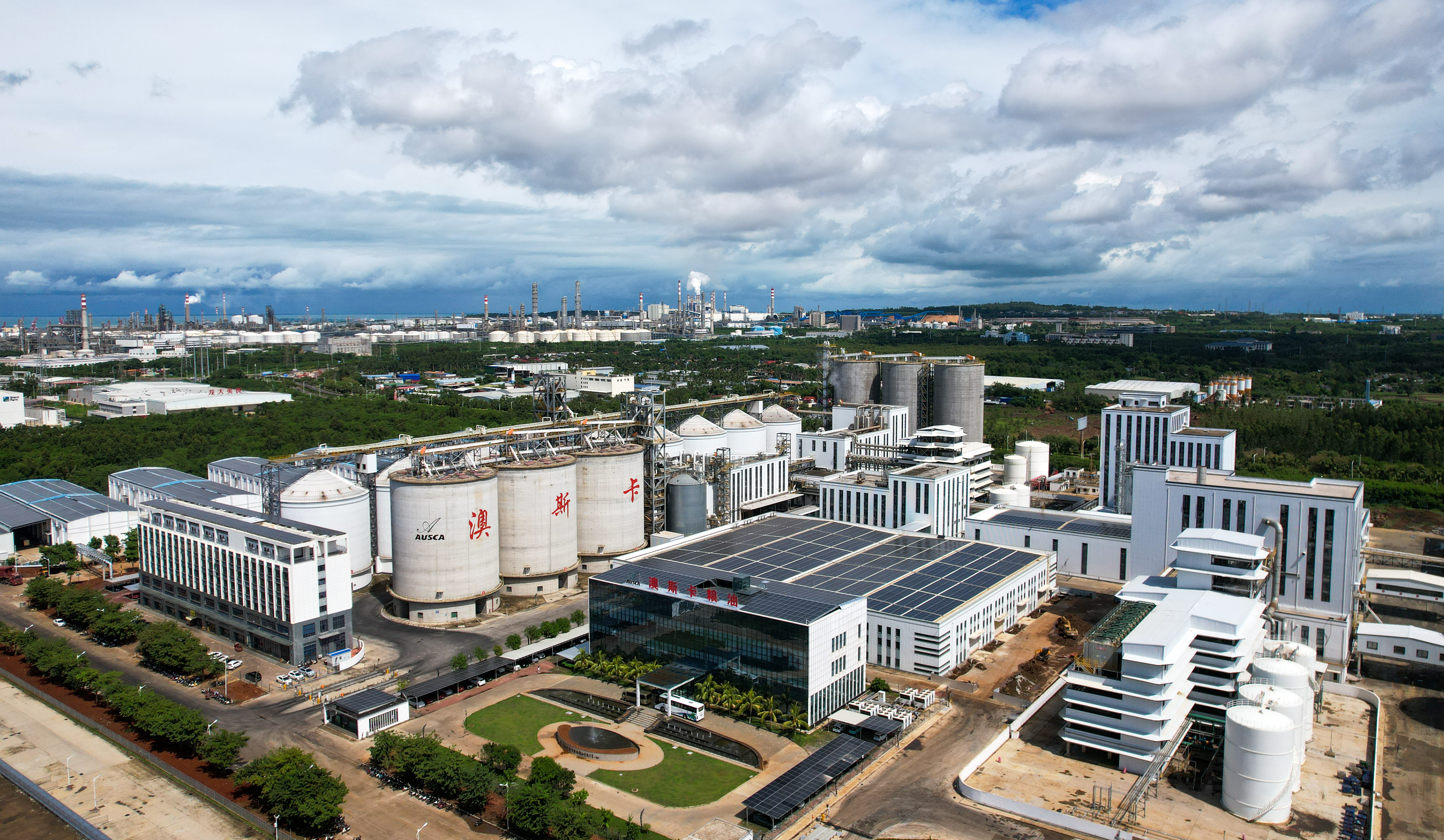 塑造新优势 澎湃新动能——“活力中国调研行”感受高水平对外开放新活力