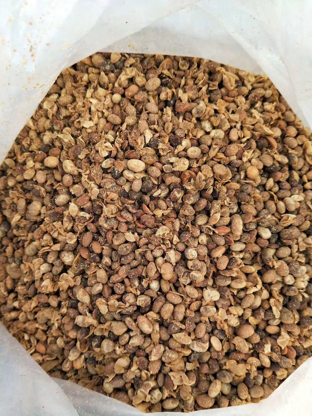 腐熟发酵大豆肥的功效