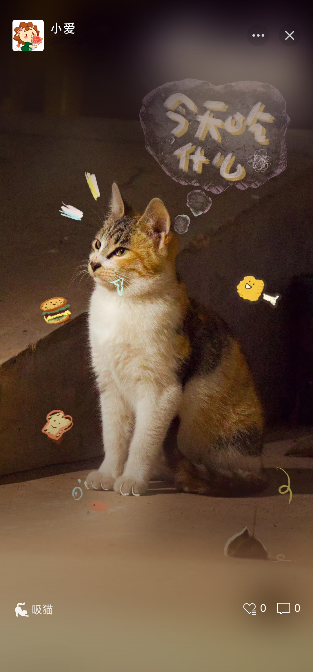 的时光美好的点点滴滴求锦鲤考试即将来袭稳住心态求求"好运锦鲤"缓