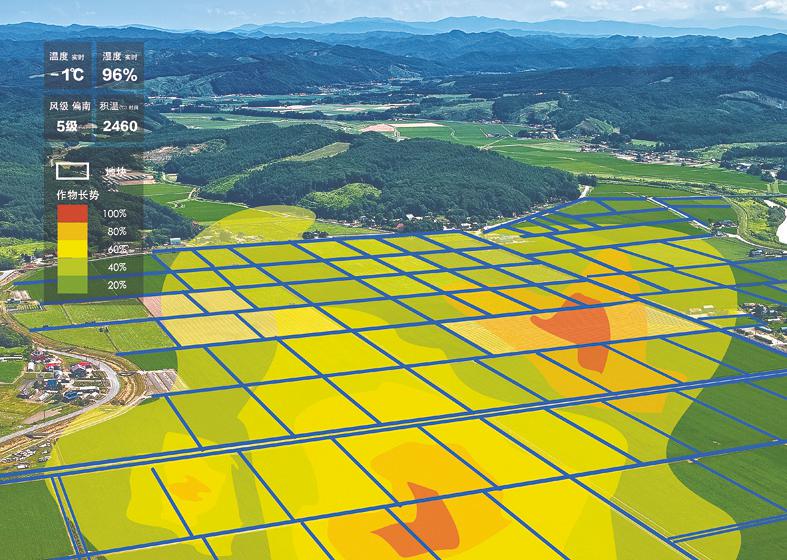 遥感 农业从"看天吃饭"到"知天而作"