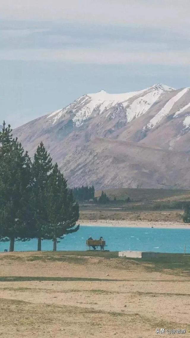 日志|杜骏飞:大选