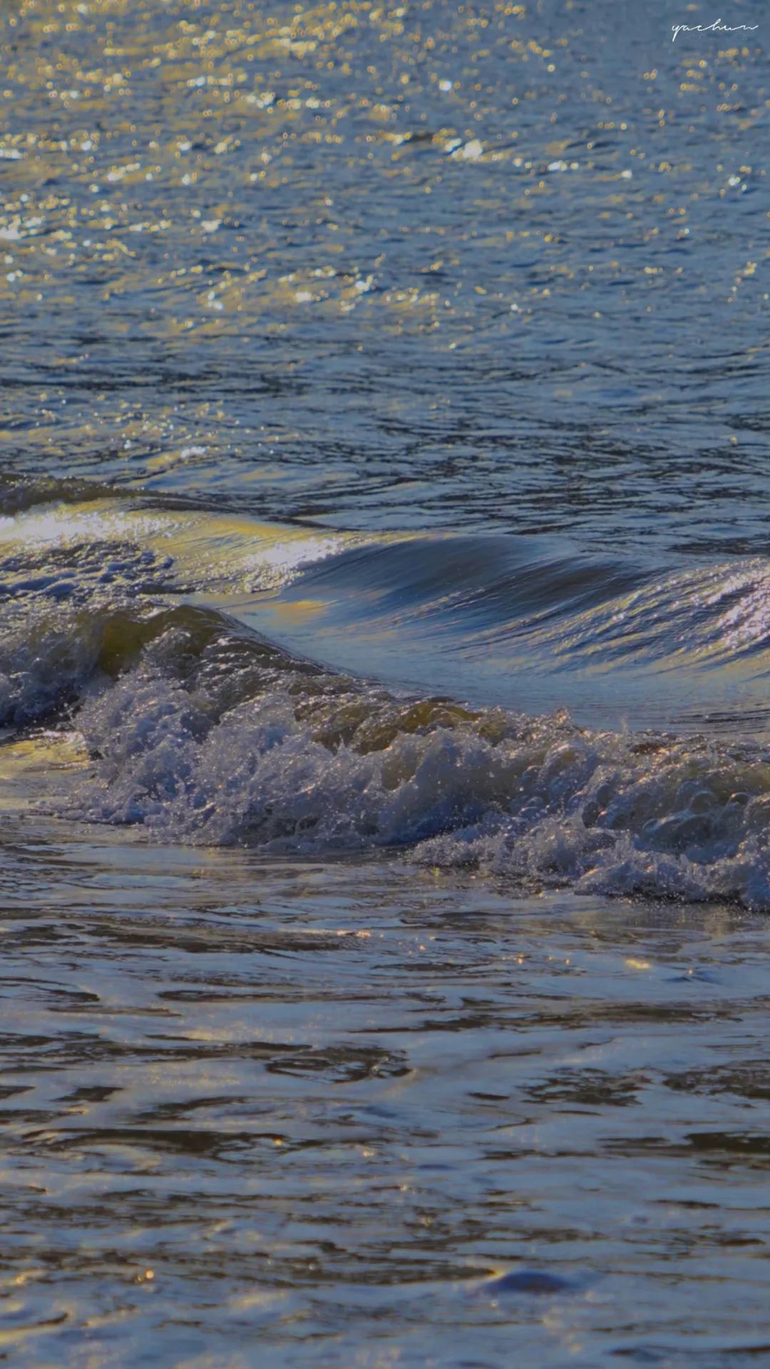 摄影师镜头下的海太太太好看啦