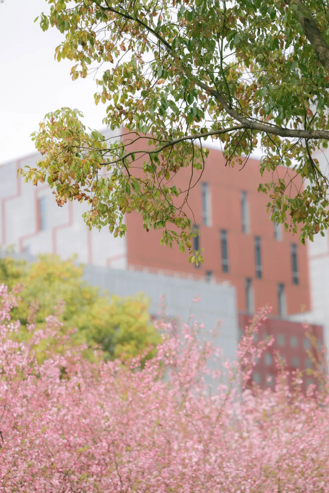 南京大学2024年强基计划报名审核结果公布!2024年本科招生七大亮点