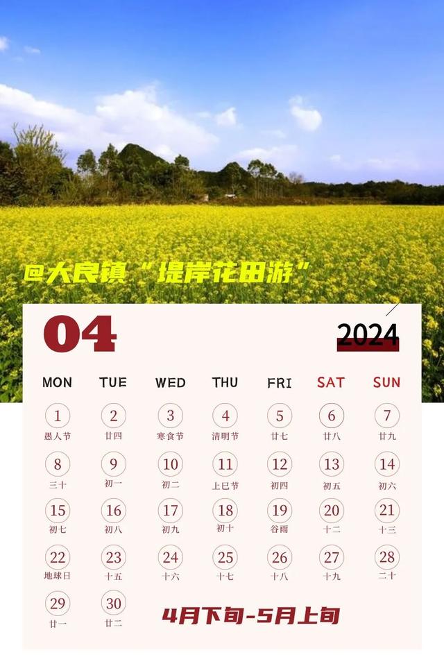 武清4月文旅日历玩转春天