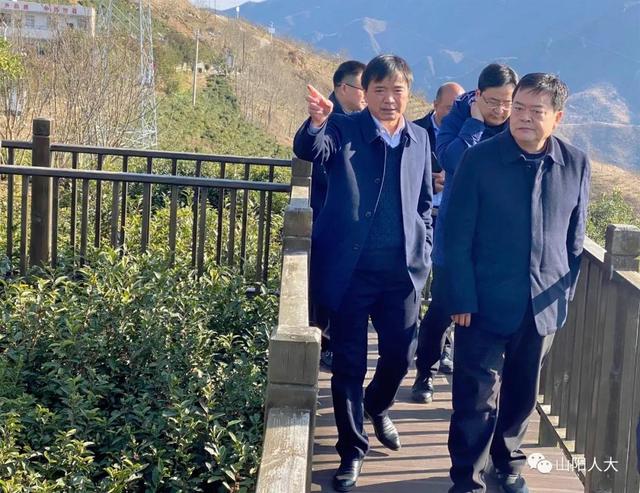 马先友深入山阳板岩,南宽坪,漫川关镇调研康养项目建设情况