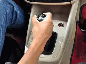 奥迪的档位有什么?