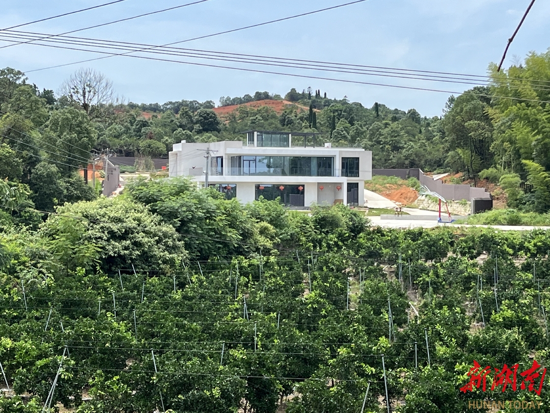 "践初心·担使命 湘潭驻村添动力"⑤|湘潭县柳桥村:土地"转"出致富路