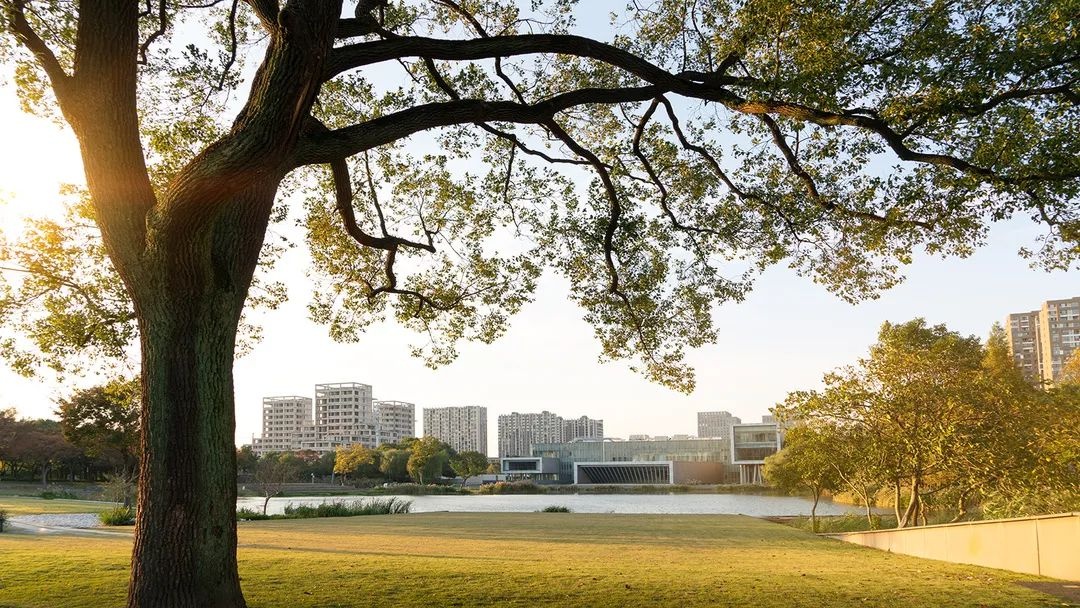 探索|石冈门塘(绿竹池)