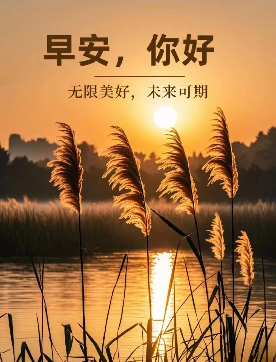 早上好,微商励志早安语录精选,多张早安祝福语图片带字