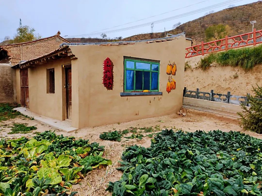 定西青岚山乡:墙体彩绘 "扮靓"美丽乡村