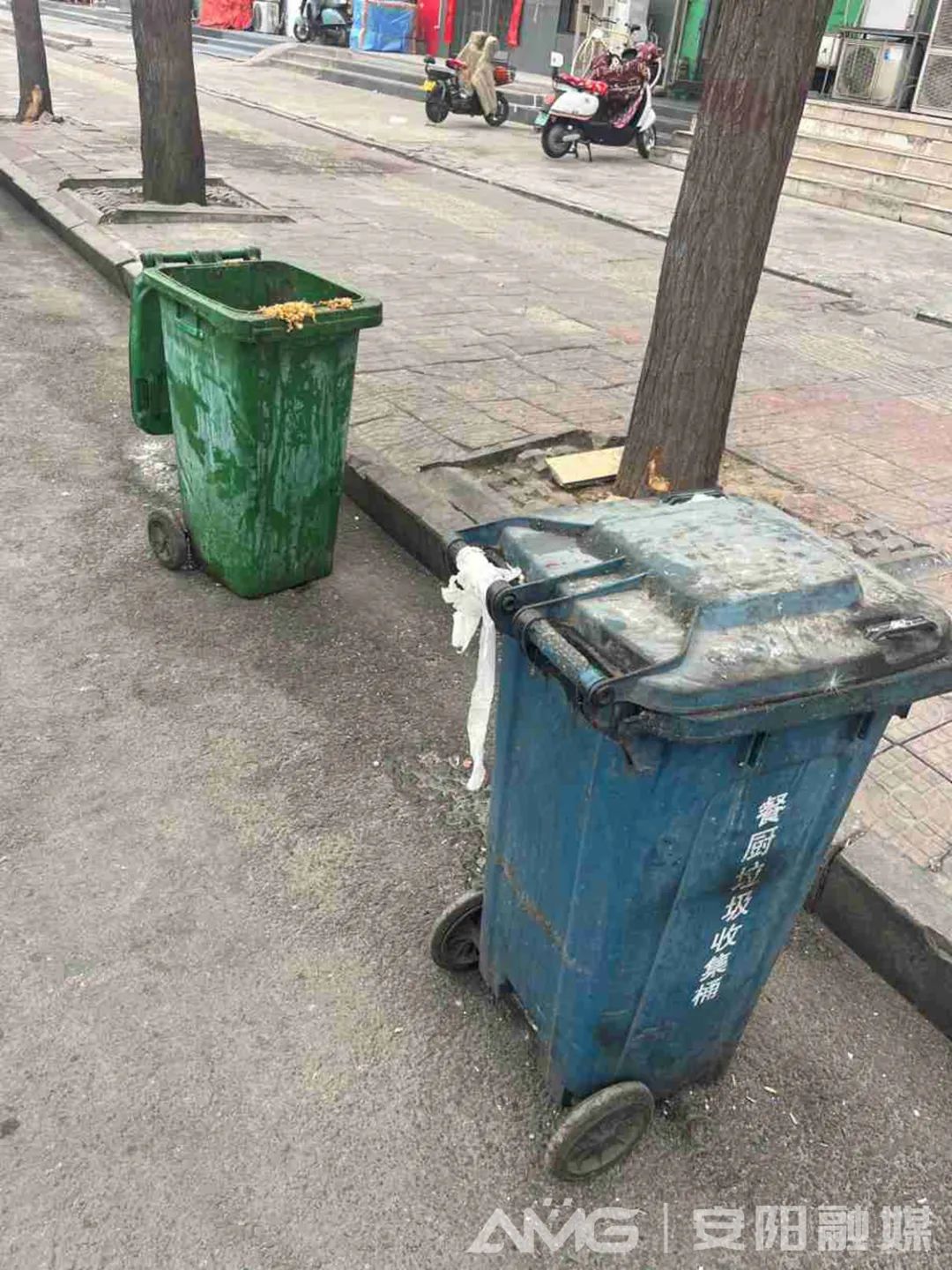 安阳城事丨谁能给垃圾桶美美容?