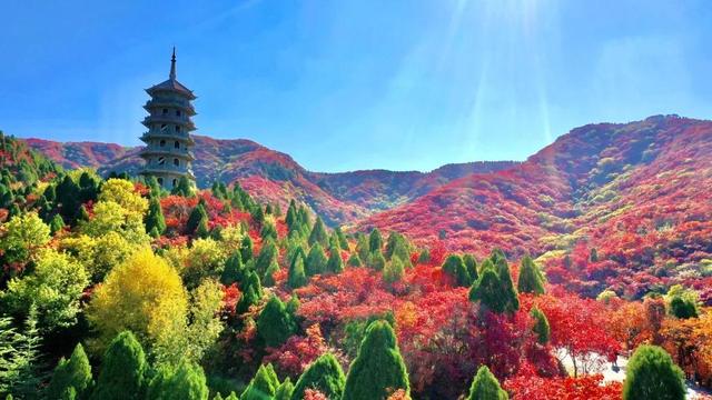 2021春节期间济南哪里好玩(2020年春节济南有什么好玩的)