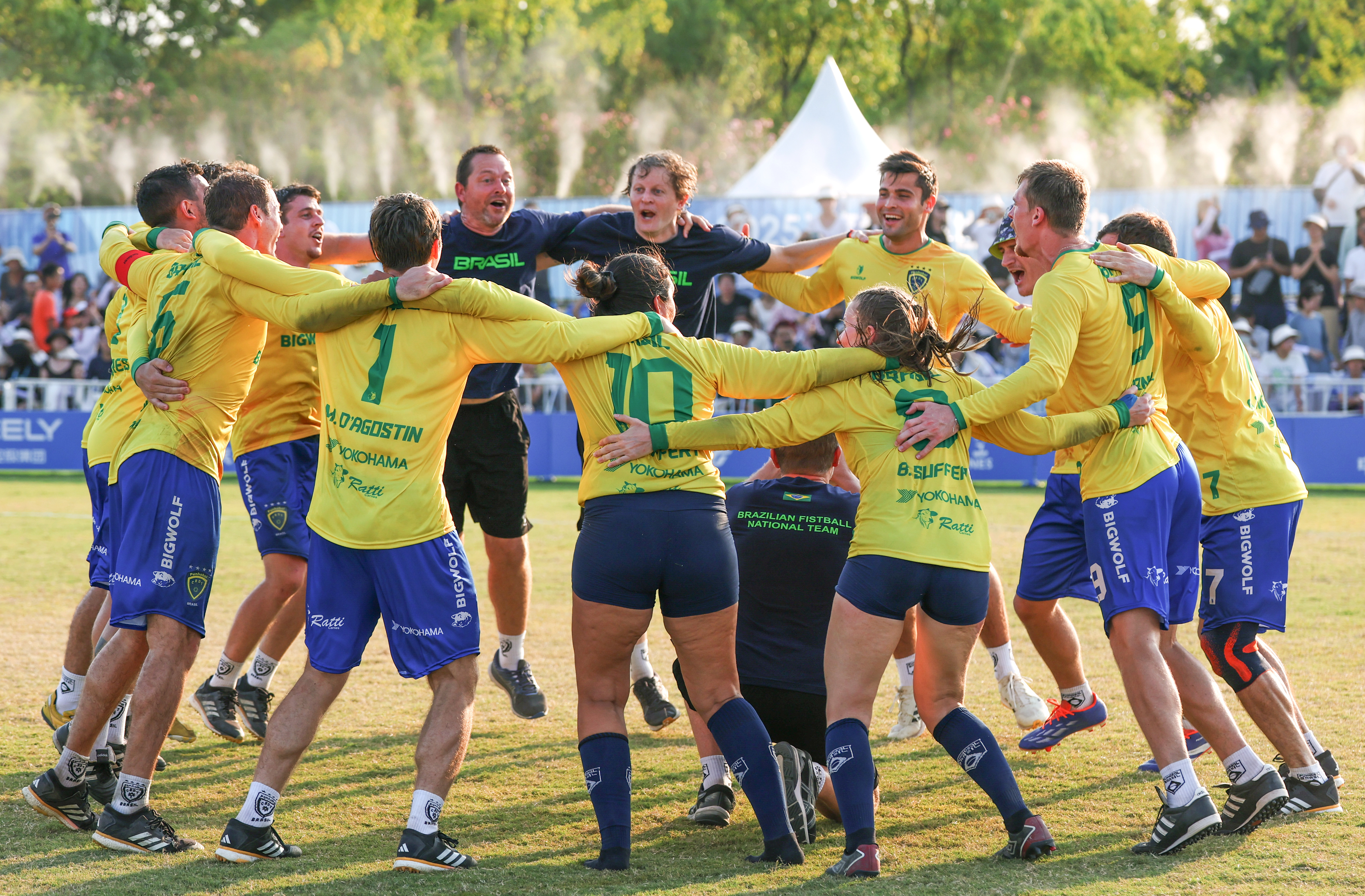 (成都世运会)浮士德球