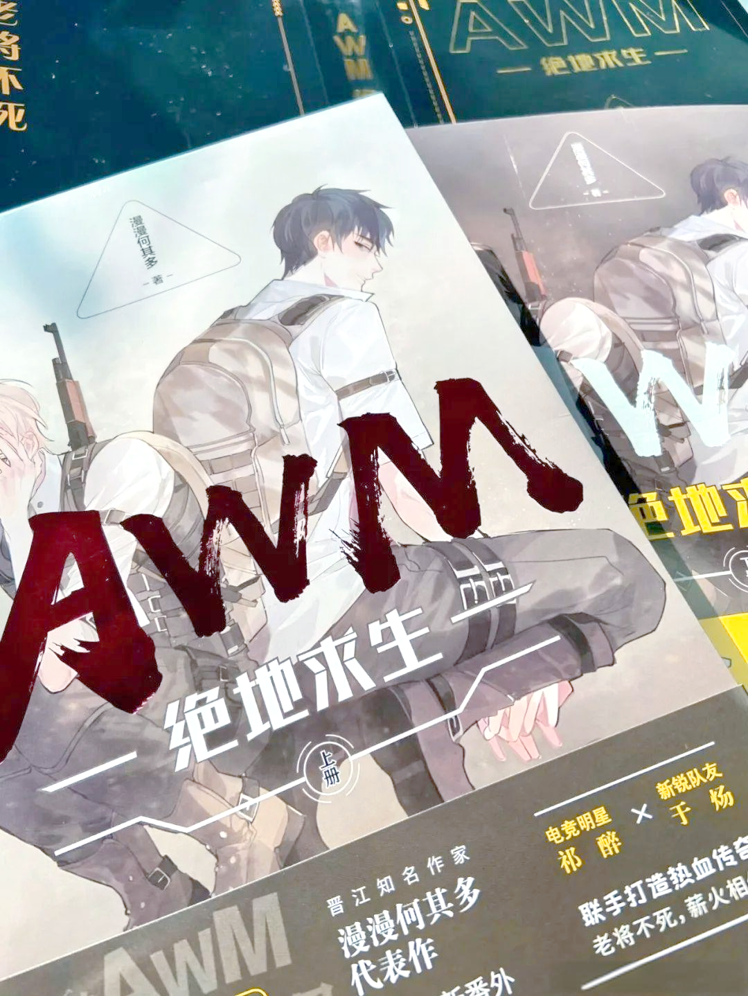 实践经验：如何激发AWM的主要发展潜力